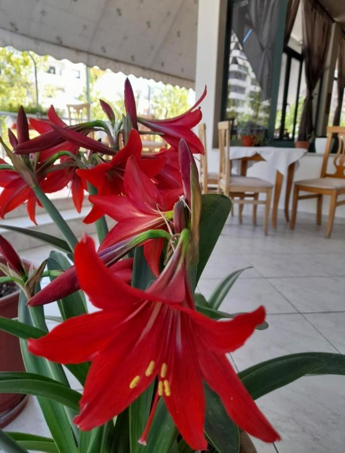 Hotel Rossi Влёра Экстерьер фото